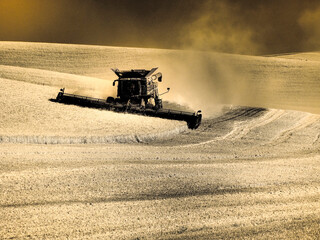 Fototapeta premium USA, Washington State, Palouse. Infrared combine harvesting on hillside and emptying into loader