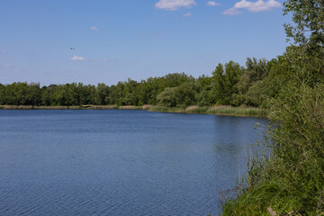 Scenic view of calm lake with clear blue water, green trees, and reed-covered shore on sunny day. Peaceful nature retreat, outdoor relaxation, eco tourism and summer weekend getaway