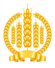 Golden ears of wheat