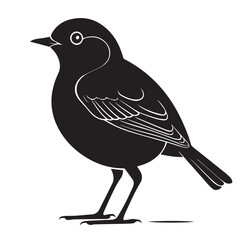 Obraz premium Black and White Bird Silhouette with Detailed Wing and Round Eye