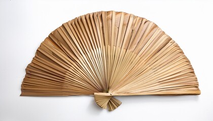 natural fan made from dried palm leaves isolated on a white background