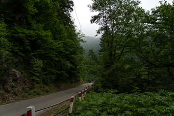 The road leading down to the mountains, cloudy sky, Georgia