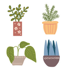 Set of potted plants. Office plants in pots.