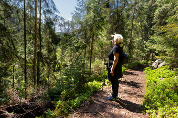 Obraz premium On a forest path, a woman is standing and looking into the distance.