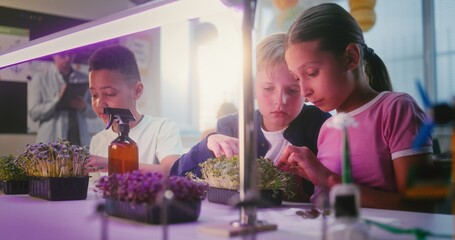 Elementary School Students Sitting at Table, Growing Experimental Microgreens, Using Tweezer,...