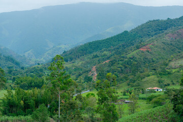 Obraz premium Colombian Mountain Landscape with Rural House and Pine Trees
