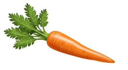 carrot isolated on white