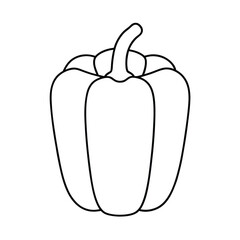 bell pepper cross section with seeds in line drawing Vector illustration