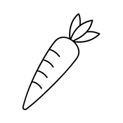 carrot with leafy stem in clean simple line sketch Vector illustration