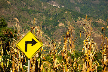 Right turn road sign in dry cornfield with mountain backdrop under bright rural sunlight in Guatemala