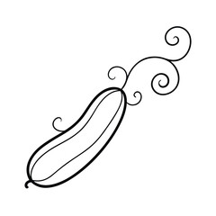 cucumber vine and tendrils in elegant line art Vector illustration