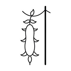 cucumber wrapping trellis in vertical line style Vector illustration