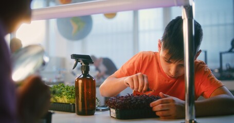 Elementary School Boy Sitting at the Table, Growing Experimental Microgreens, Using Tweezer and...