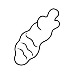 wavy ginger root drawn in artistic line style Vector illustration