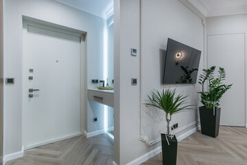 Studio apartment with an exquisite design in neoclassical style. The entrance door and part of the interior of the living room with a TV and pots with green plants.