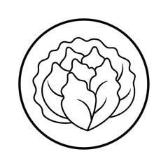 round lettuce head drawn in gentle line format Vector illustration