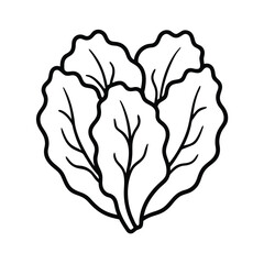 open lettuce leaves drawn in leafy line artwork Vector illustration