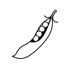 pea pod with inner peas in neat line artwork Vector illustration