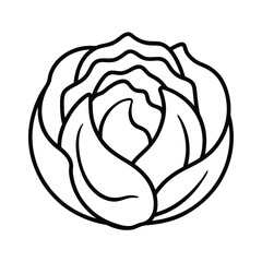 purple cabbage with curved lines in floral art Vector illustration