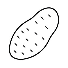 sliced sweet potato in natural organic sketch Vector illustration