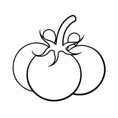 tomato cluster with curly stems in fine lines Vector illustration