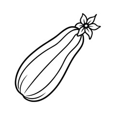 zucchini with flower in stylized line artwork Vector illustration