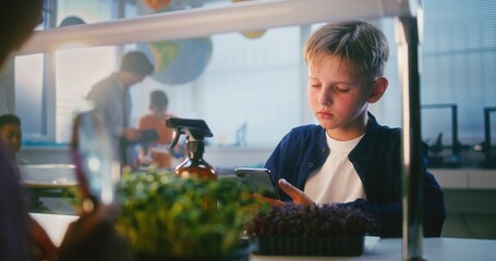 Elementary School Boy Sitting at the Table and Using Smartphone, Growing Experimental Microgreens Under Grow Light, Using Tweezer. Smart Young Kids Studying Biology in Classroom. STEM Education.