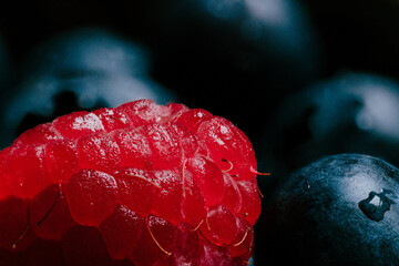 An extremely detailed macro close-up shot of a raspberry and a group of blueberries in a bowl. Natural light. Dark background. Healthy food and nutrition concept