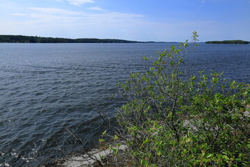 Summer day at lake Mälaren. Järfälla, Stockholm, Sweden.