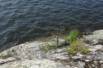 Summer day at lake Mälaren. Järfälla, Stockholm, Sweden.