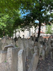 Jewish cemetery Prague