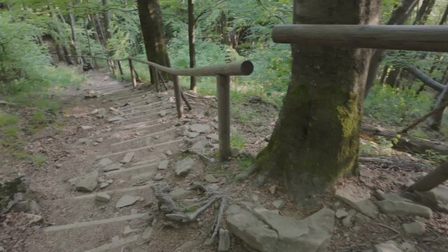 Hiking Adventure in the Bieszczady Mountains &ndash; Climbing Polonina Wetlinska