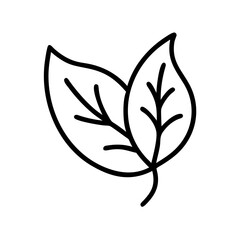 Leaf line art and outline vector icon