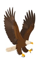 Obraz premium Bald Eagle in Flight.