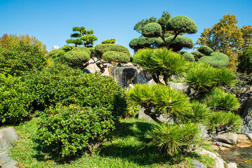 A rock garden with a waterfall and a pond