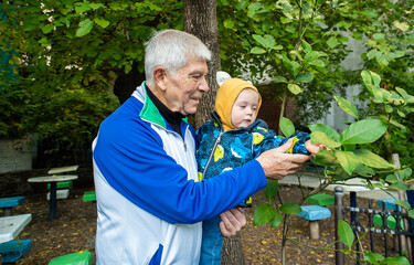 A man and a baby are holding a plant