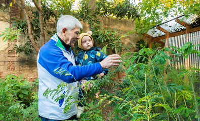 A man and a baby are holding a plant