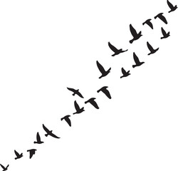 Silhouetted Flock of Birds Flying Diagonally Across a White Sky Symbolizing Freedom and Migration, Minimalist, Graphic Design
