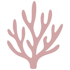 Obraz premium coral element