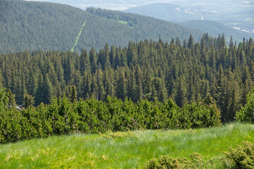 Spring Panorama of Vitosha Mountain, Bulgaria