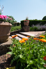 flowers in pots