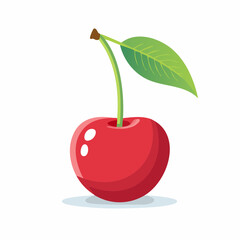 Cherry vector