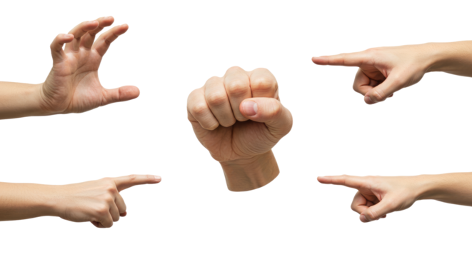 Human Hands Gesturing Pointing Fist and Claw on White Background.