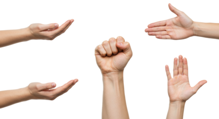 Assorted Hand Gestures on White Background Open Fist and Flat Hands.
