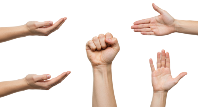 Assorted Hand Gestures on White Background Open Fist and Flat Hands.
