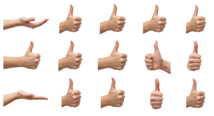 Assorted Human Hands Gesturing on White Background.