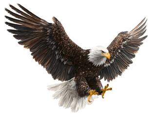 Obraz premium a majestic bald eagle mid-jump with its wings slightly open, heroic pose for American celebration poster on transparent background