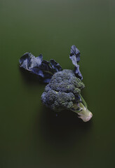 Freshly harvested broccoli for healthy cooking with organic vegetables ready to cooking