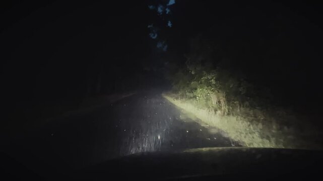 Night journey through the storm: intense rain, wind and flashes on the forest road, view from the interior of the car during difficult weather conditions