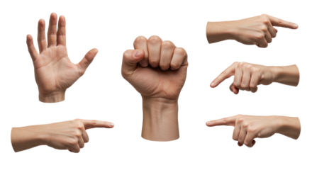 Diverse Human Hand Gestures Open Palm Fist Pointing Fingers.